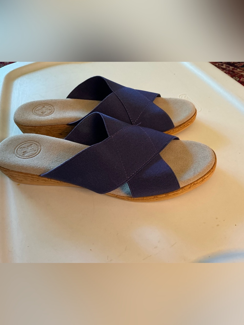 CHARLESTON SHOE CO. Crisscross Slide Sandal in bright Navy NWT